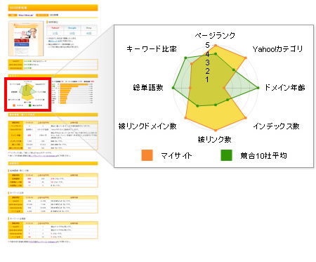 レーダーチャートの内容